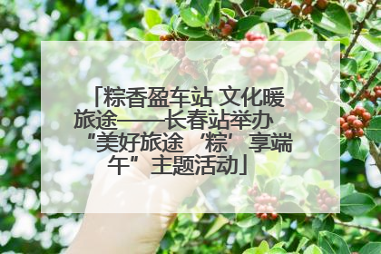 粽香盈车站 文化暖旅途——长春站举办 “美好旅途‘粽’享端午”主题活动