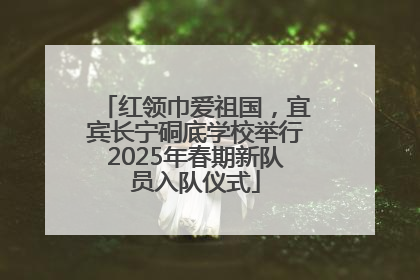 红领巾爱祖国，宜宾长宁硐底学校举行2025年春期新队员入队仪式