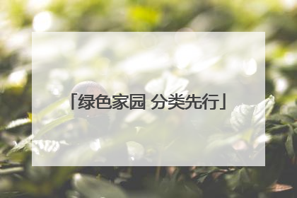 绿色家园 分类先行