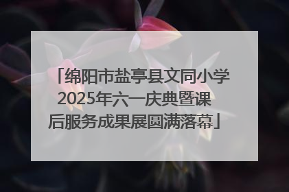 绵阳市盐亭县文同小学2025年六一庆典暨课后服务成果展圆满落幕