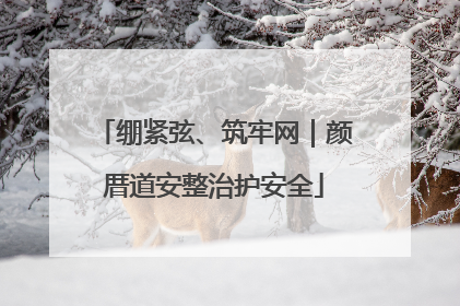 绷紧弦、筑牢网｜颜厝道安整治护安全