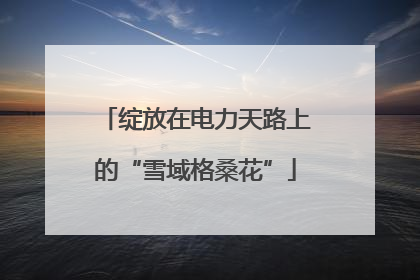 绽放在电力天路上的“雪域格桑花”