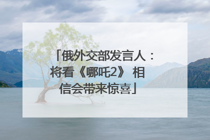俄外交部发言人：将看《哪吒2》 相信会带来惊喜