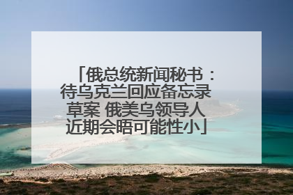 俄总统新闻秘书：待乌克兰回应备忘录草案 俄美乌领导人近期会晤可能性小
