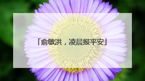 俞敏洪，凌晨报平安