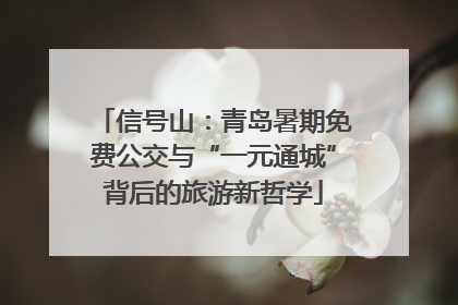 信号山：青岛暑期免费公交与“一元通城”背后的旅游新哲学
