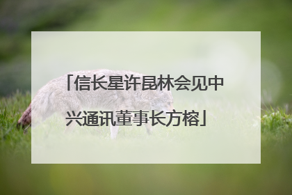 信长星许昆林会见中兴通讯董事长方榕
