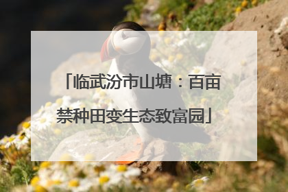 临武汾市山塘：百亩禁种田变生态致富园