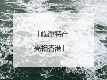 临潼特产亮相香港
