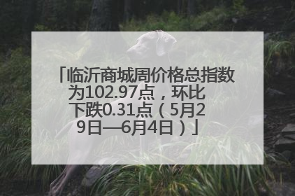 临沂商城周价格总指数为102.97点，环比下跌0.31点（5月29日—6月4日）