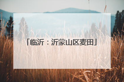 临沂：沂蒙山区麦田