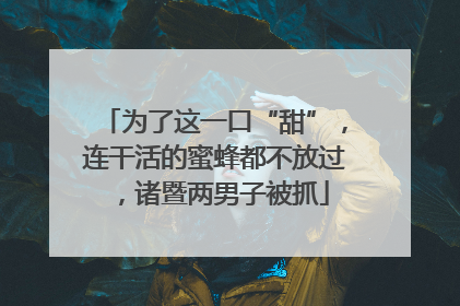 为了这一口“甜”，连干活的蜜蜂都不放过，诸暨两男子被抓