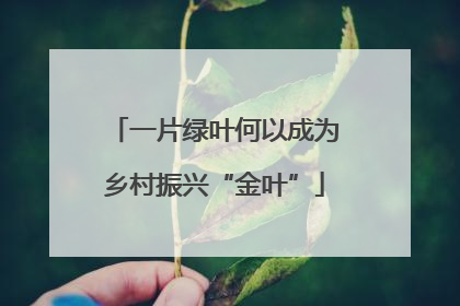 一片绿叶何以成为乡村振兴“金叶”