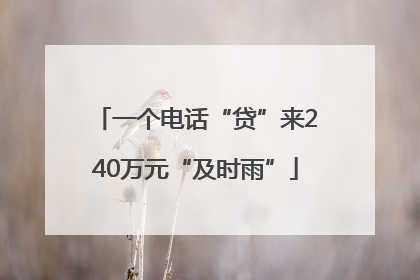 一个电话“贷”来240万元“及时雨”