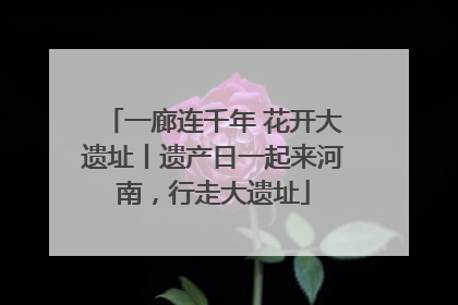 一廊连千年 花开大遗址丨遗产日一起来河南，行走大遗址