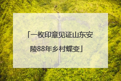 一枚印章见证山东安陵88年乡村蝶变