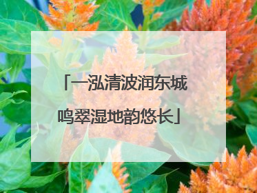 一泓清波润东城 鸣翠湿地韵悠长
