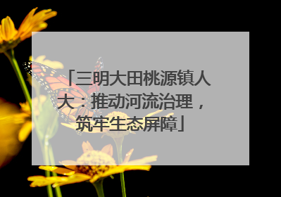三明大田桃源镇人大：推动河流治理，筑牢生态屏障