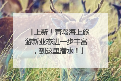 上新！青岛海上旅游新业态进一步丰富，到这里潜水！