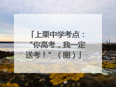 上栗中学考点：“你高考，我一定送考！”（图）