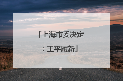 上海市委决定：王平履新