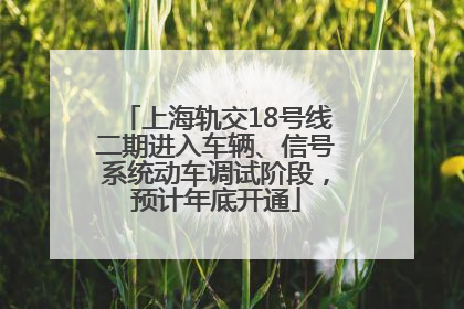 上海轨交18号线二期进入车辆、信号系统动车调试阶段，预计年底开通