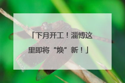 下月开工！淄博这里即将“焕”新！