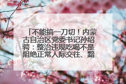 不能搞一刀切！内蒙古自治区党委书记孙绍骋：整治违规吃喝不是阻绝正常人际交往、黯淡人间烟火
