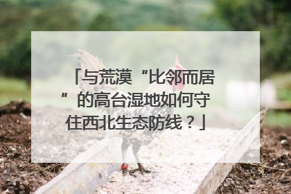 与荒漠“比邻而居”的高台湿地如何守住西北生态防线？