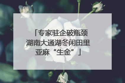 专家驻企破瓶颈 湖南大通湖冬闲田里亚麻“生金”
