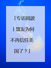 专访周波丨盟友为何不再信任美国了？