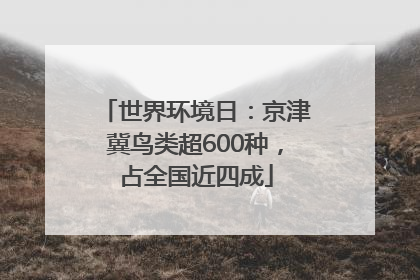 世界环境日：京津冀鸟类超600种，占全国近四成