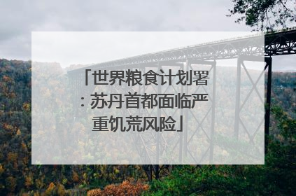 世界粮食计划署：苏丹首都面临严重饥荒风险