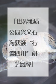 世界地质公园兴文石海获颁“行读四川”研学品牌