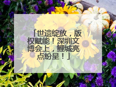 世遗绽放，版权赋能！深圳文博会上，鲤城亮点纷呈！