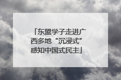 东盟学子走进广西多地“沉浸式”感知中国式民主