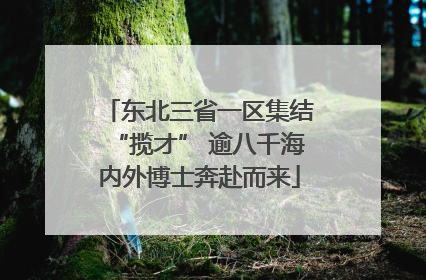 东北三省一区集结“揽才” 逾八千海内外博士奔赴而来