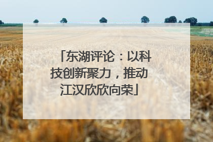 东湖评论：以科技创新聚力，推动江汉欣欣向荣