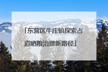 东营区牛庄镇探索占道晒粮治理新路径