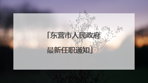 东营市人民政府最新任职通知