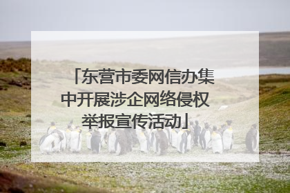 东营市委网信办集中开展涉企网络侵权举报宣传活动