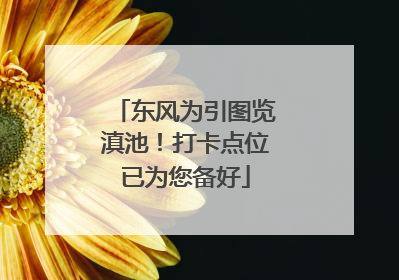 东风为引图览滇池！打卡点位已为您备好