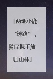 两地小鹿“迷路”，警民携手放归山林