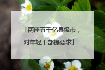 两座五千亿县级市，对年轻干部提要求