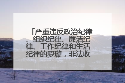 严重违反政治纪律、组织纪律、廉洁纪律、工作纪律和生活纪律的罗璇，非法收受他人巨额财物