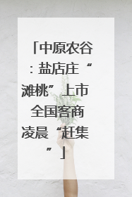 中原农谷：盐店庄“滩桃”上市 全国客商凌晨“赶集”