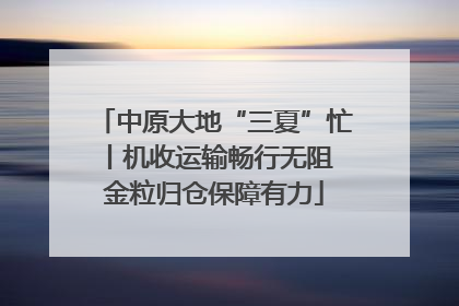 中原大地“三夏”忙丨机收运输畅行无阻 金粒归仓保障有力