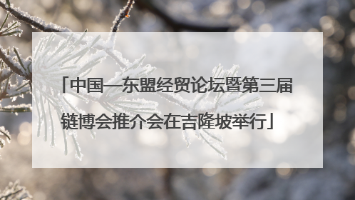 中国—东盟经贸论坛暨第三届链博会推介会在吉隆坡举行