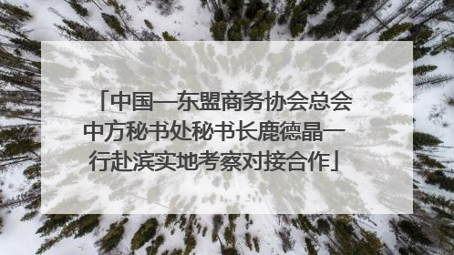 中国—东盟商务协会总会中方秘书处秘书长鹿德晶一行赴滨实地考察对接合作
