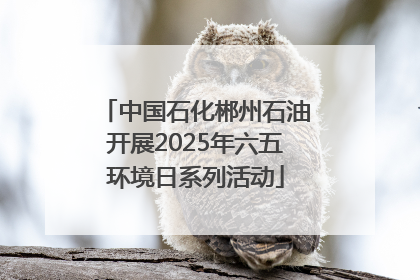 中国石化郴州石油开展2025年六五环境日系列活动